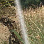 レス3番のリンク先のサムネイル画像