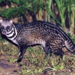 レス3番の画像1