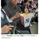 レス22番の画像1