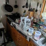 レス2番の画像6