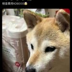 レス1番の画像1