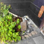 レス1番の画像3