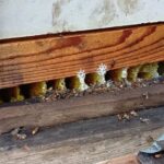 レス2番の画像2