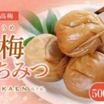 レス2番の画像1