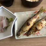 レス19番の画像2