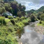 レス2番の画像5