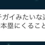 レス10番の画像2