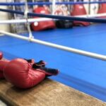 レス7番のリンク先のサムネイル画像