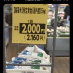 レス3番の画像6