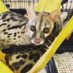 レス10番の画像1