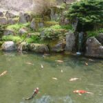 レス2番の画像6