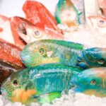 レス42番の画像1