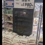 レス3番の画像7