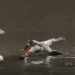 レス8番の画像2