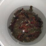 レス2番の画像1