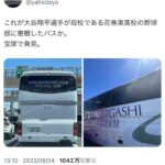 レス21番の画像1