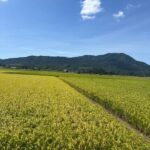 レス7番の画像1