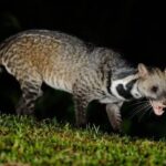 レス5番の画像1