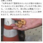 レス1番の画像1