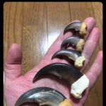 レス7番の画像1