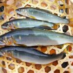 レス1番のリンク先のサムネイル画像