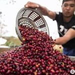 レス7番の画像5