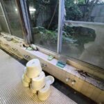 レス1番の画像3