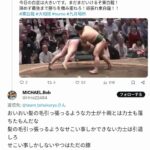 レス19番の画像3