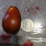 レス2番の画像1