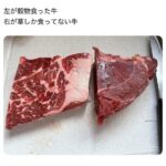 レス2番の画像1