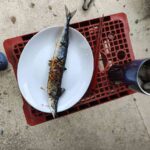 レス55番の画像2