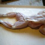 レス15番の画像1