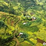 レス7番の画像2