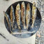 レス46番の画像1