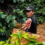 レス7番の画像3