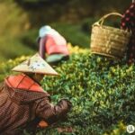 レス7番の画像4