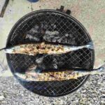 レス55番の画像1