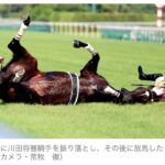 レス61番の画像1