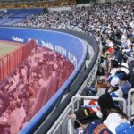 レス51番の画像1