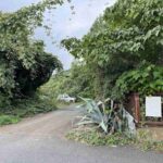 レス1番の画像10