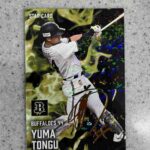 レス67番の画像1