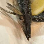 レス1番の画像2