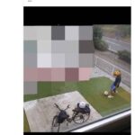 レス2番の画像1