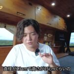 レス1番の画像3