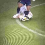 レス4番の画像1