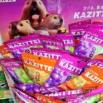 レス5番の画像1