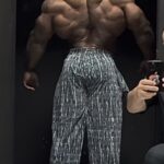 レス11番の画像3