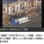 レス15番の画像1