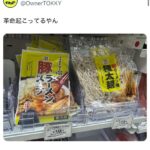 レス21番の画像2