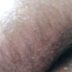 レス42番の画像1